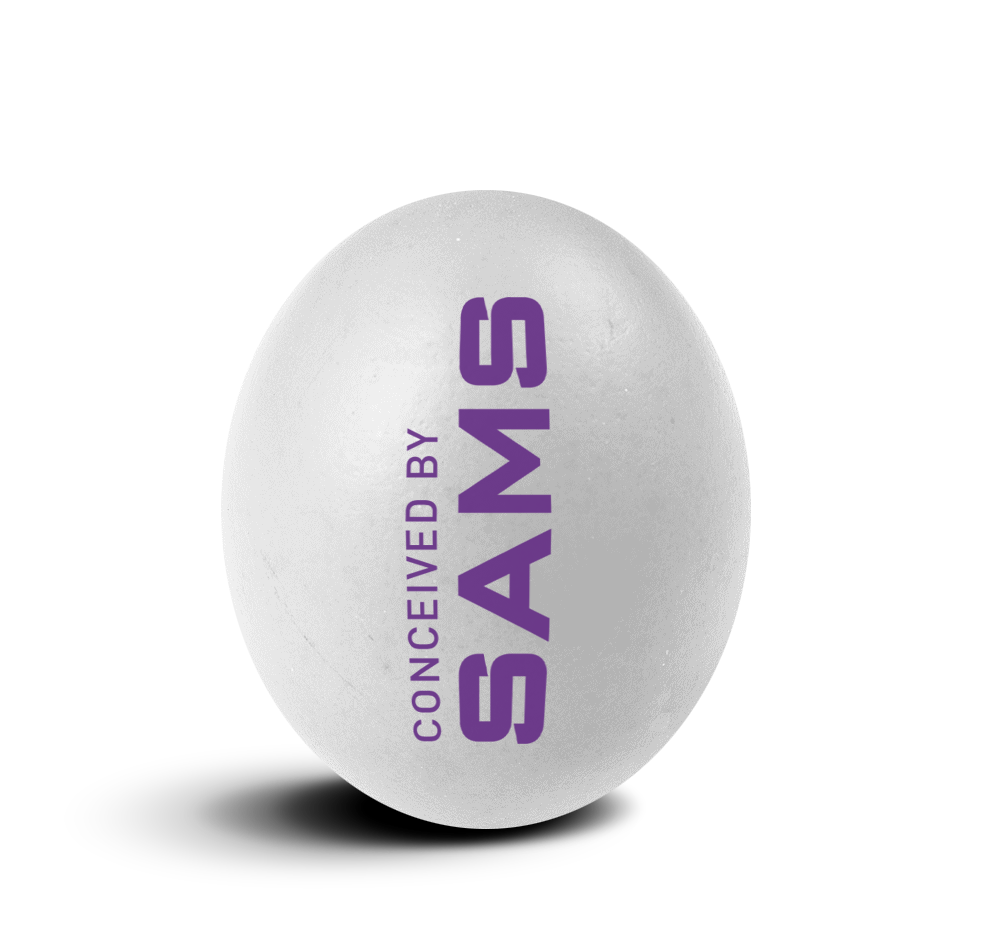 conception_smas_egg